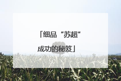 细品“苏超”成功的秘笈