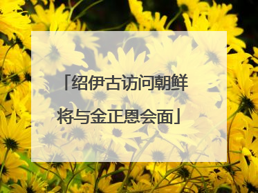 绍伊古访问朝鲜 将与金正恩会面