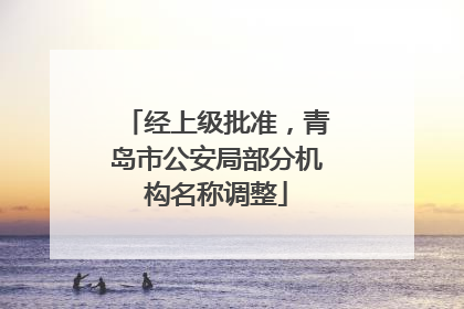 经上级批准，青岛市公安局部分机构名称调整