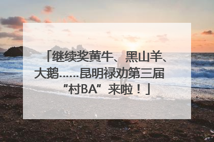 继续奖黄牛、黑山羊、大鹅……昆明禄劝第三届“村BA”来啦！