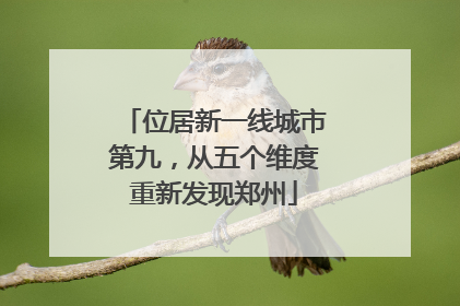 位居新一线城市第九，从五个维度重新发现郑州