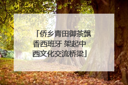 侨乡青田御茶飘香西班牙 架起中西文化交流桥梁
