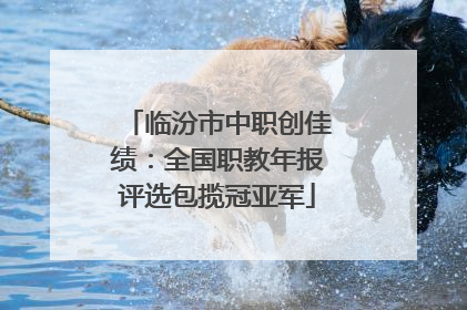 临汾市中职创佳绩：全国职教年报评选包揽冠亚军