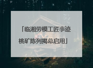 临湘劳模工匠事迹桃矿陈列揭幕启用