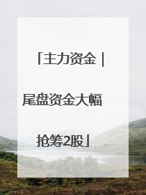 主力资金｜尾盘资金大幅抢筹2股