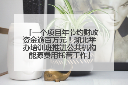 一个项目年节约财政资金逾百万元！湖北举办培训班推进公共机构能源费用托管工作