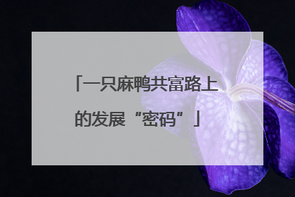 一只麻鸭共富路上的发展“密码”