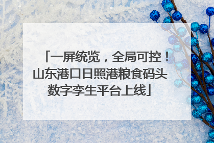 一屏统览，全局可控！山东港口日照港粮食码头数字孪生平台上线