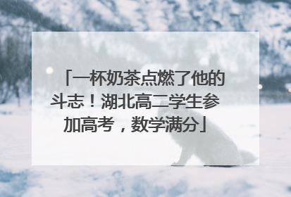 一杯奶茶点燃了他的斗志！湖北高二学生参加高考，数学满分