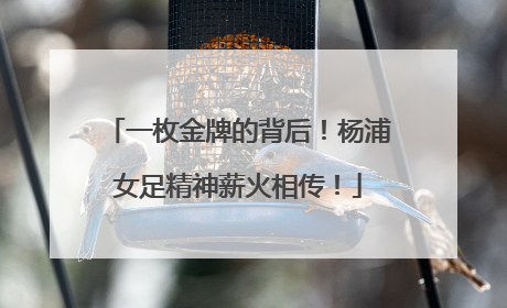 一枚金牌的背后！杨浦女足精神薪火相传！