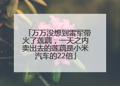万万没想到雷军带火了莲藕，一天之内卖出去的莲藕是小米汽车的22倍