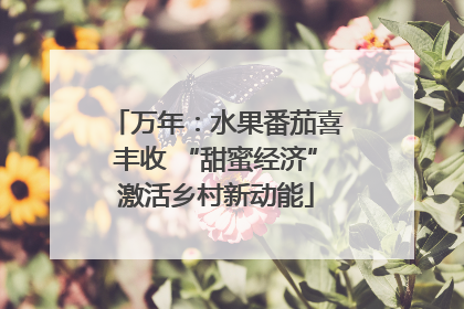 万年：水果番茄喜丰收 “甜蜜经济”激活乡村新动能
