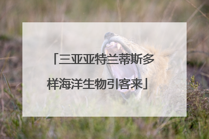 三亚亚特兰蒂斯多样海洋生物引客来