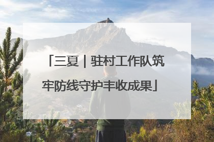 三夏｜驻村工作队筑牢防线守护丰收成果