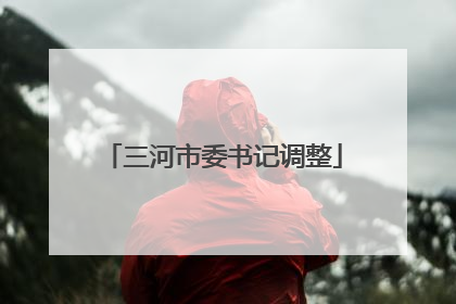 三河市委书记调整