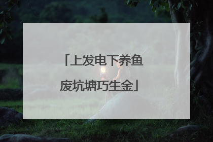 上发电下养鱼 废坑塘巧生金