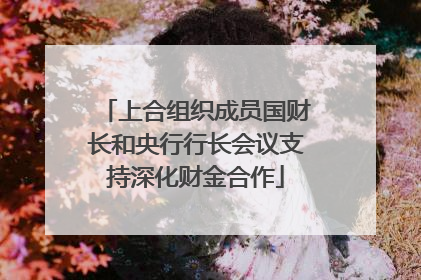 上合组织成员国财长和央行行长会议支持深化财金合作