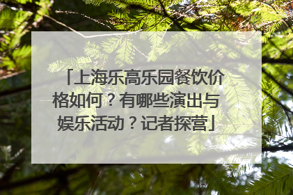 上海乐高乐园餐饮价格如何？有哪些演出与娱乐活动？记者探营