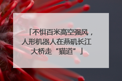 不惧百米高空强风，人形机器人在燕矶长江大桥走“猫道”