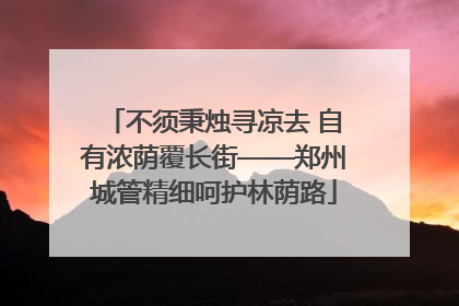 不须秉烛寻凉去 自有浓荫覆长街——郑州城管精细呵护林荫路