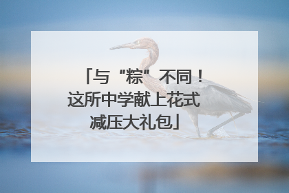 与“粽”不同！这所中学献上花式减压大礼包