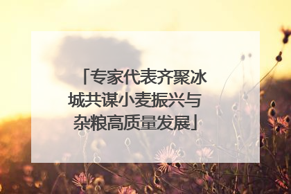 专家代表齐聚冰城共谋小麦振兴与杂粮高质量发展