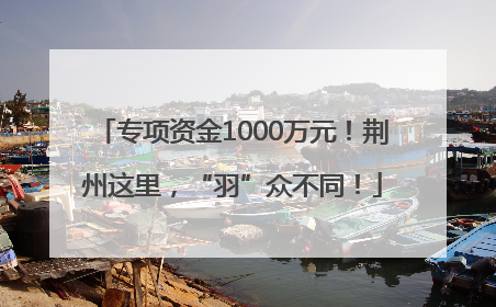 专项资金1000万元！荆州这里，“羽”众不同！
