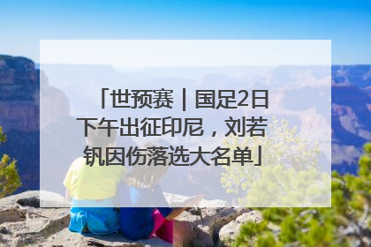 世预赛｜国足2日下午出征印尼，刘若钒因伤落选大名单