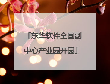 东华软件全国副中心产业园开园