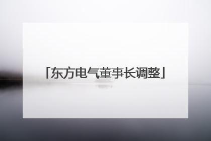 东方电气董事长调整