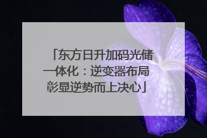 东方日升加码光储一体化：逆变器布局彰显逆势而上决心