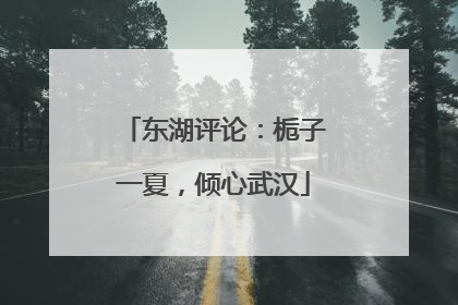 东湖评论：栀子一夏，倾心武汉
