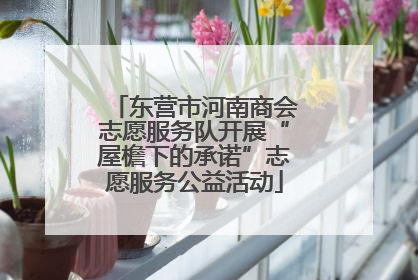 东营市河南商会志愿服务队开展“屋檐下的承诺”志愿服务公益活动