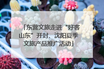 东营文旅走进“好客山东”开封、沈阳夏季文旅产品推广活动