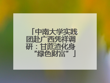 中南大学实践团赴广西凭祥调研：甘蔗渣化身“绿色财富”