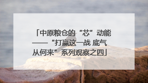 中原粮仓的“芯”动能——“打赢这一战 底气从何来”系列观察之四