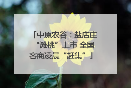 中原农谷：盐店庄“滩桃”上市 全国客商凌晨“赶集”