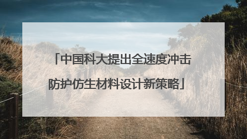 中国科大提出全速度冲击防护仿生材料设计新策略
