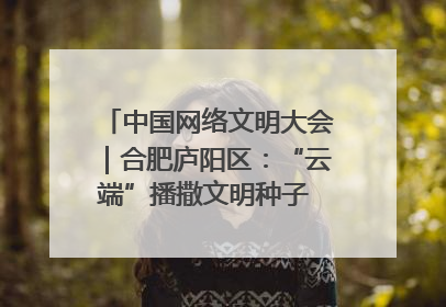 中国网络文明大会｜合肥庐阳区：“云端”播撒文明种子 共建清朗网络空间