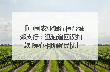 中国农业银行桓台城郊支行：迅速追回误扣款 暖心相助解民忧