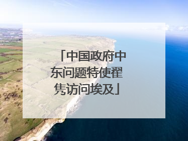 中国政府中东问题特使翟隽访问埃及