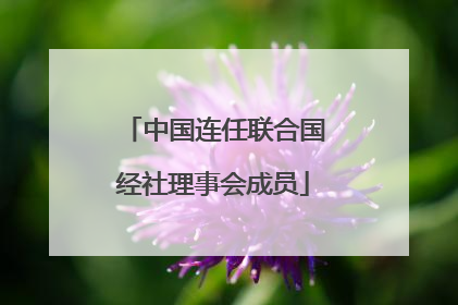 中国连任联合国经社理事会成员