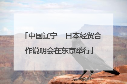 中国辽宁—日本经贸合作说明会在东京举行