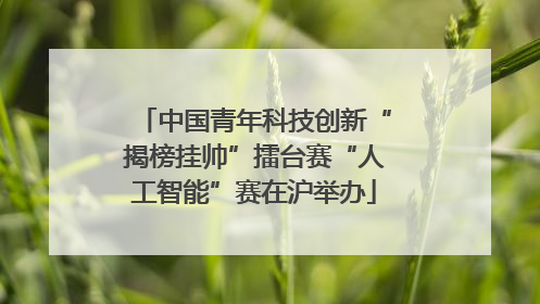 中国青年科技创新“揭榜挂帅”擂台赛“人工智能”赛在沪举办