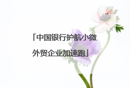 中国银行护航小微外贸企业加速跑