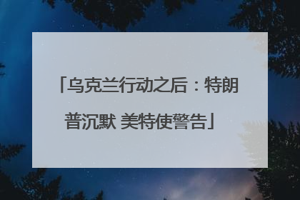 乌克兰行动之后：特朗普沉默 美特使警告