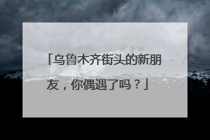 乌鲁木齐街头的新朋友，你偶遇了吗？