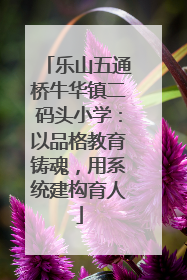 乐山五通桥牛华镇二码头小学：以品格教育铸魂，用系统建构育人