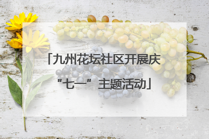 九州花坛社区开展庆“七一”主题活动