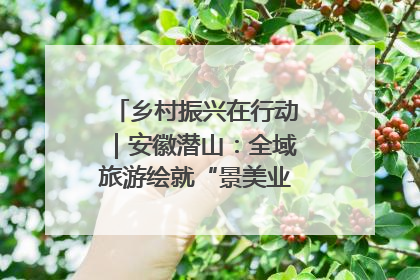 乡村振兴在行动｜安徽潜山：全域旅游绘就“景美业兴民富”新画卷
